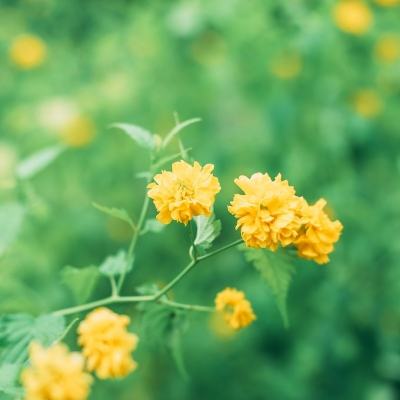 神剑仙缘破解版下载