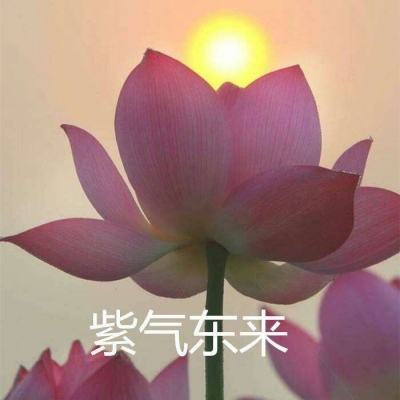王者荣耀星之破晓官方正版下载